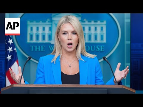 Karoline Leavitt calls reporter’s question ‘stupid,’ says Trump ‘supports peaceful protests’